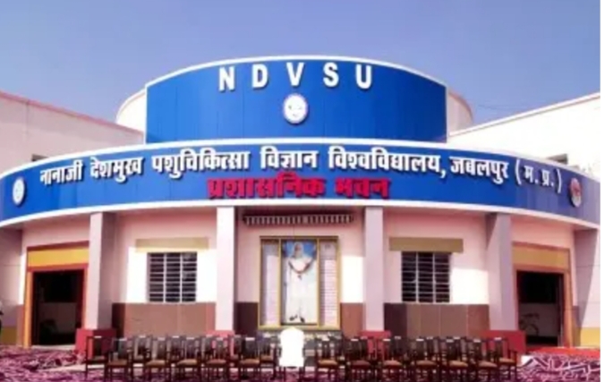 गोमूत्र–गोबर के नाम पर साढ़े 3 करोड़ का घोटाला!जबलपुर वेटरनरी यूनिवर्सिटी में पंचगव्य योजना बनी भ्रष्टाचार का जरिया जबलपुर |