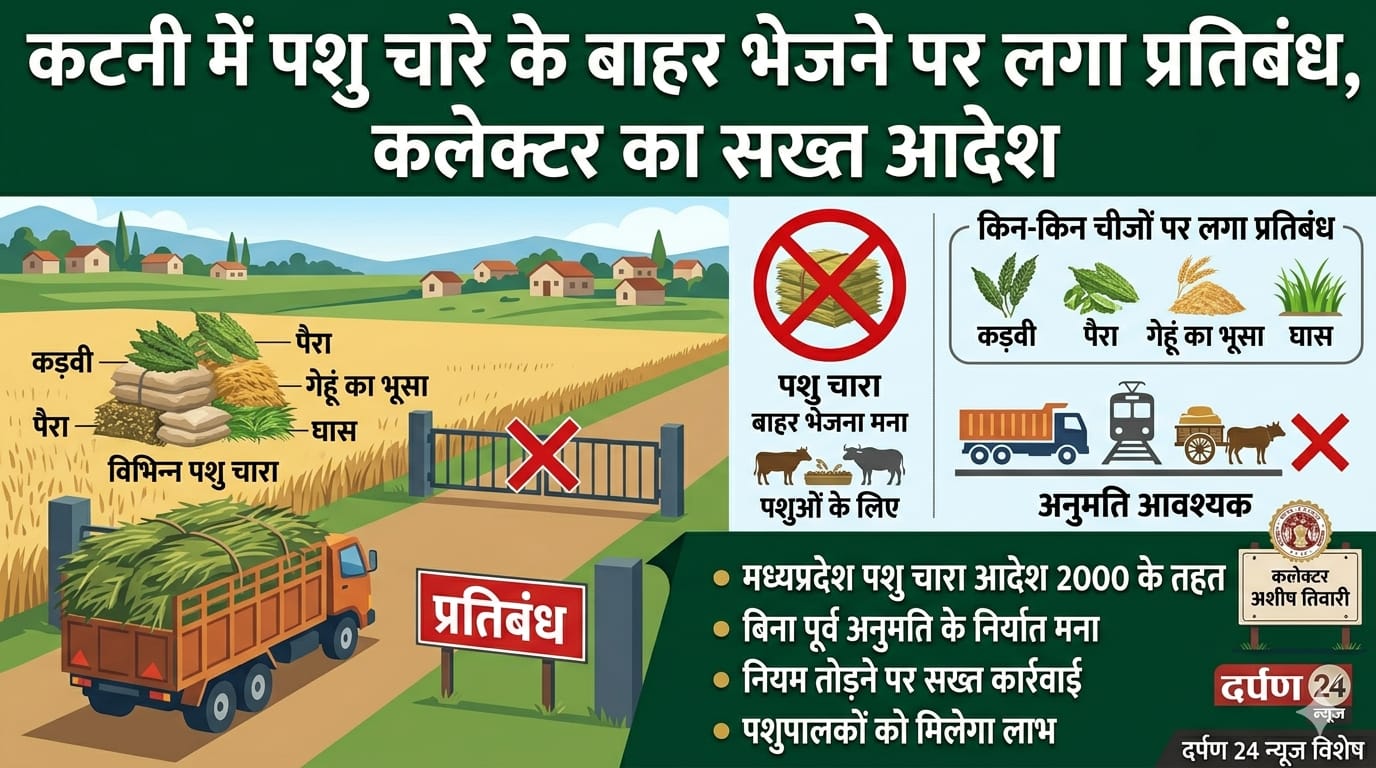 कटनी में पशु चारे के बाहर भेजने पर लगा प्रतिबंध, कलेक्टर का सख्त आदेश